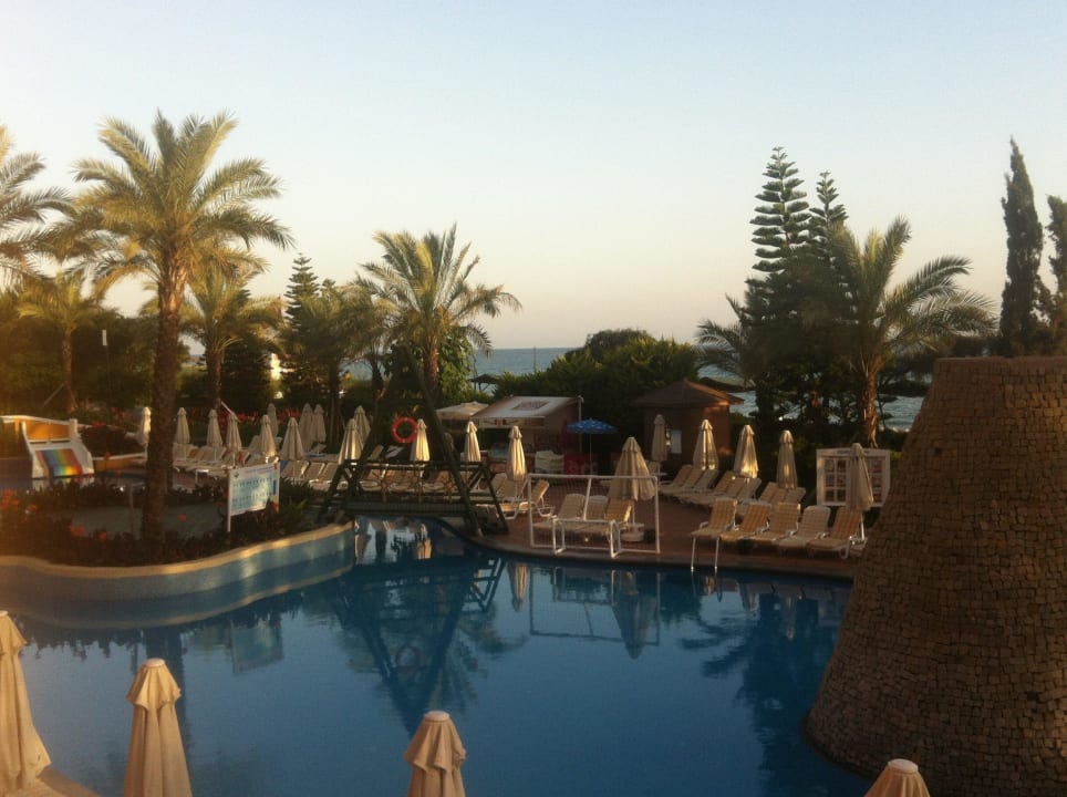 1 Pool AQI Pegasos Royal