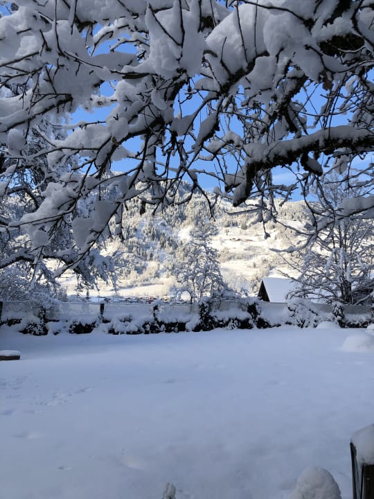 Ausblick Hotel Ferienparadies Lerch
