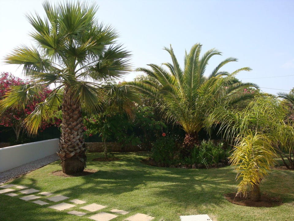 Blick vom Zimmer Quinta Dos Oliveiras