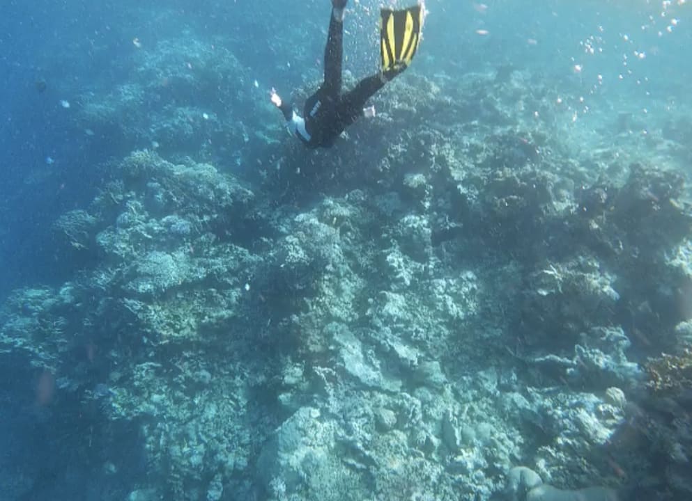 Strand Casa Mare Resort