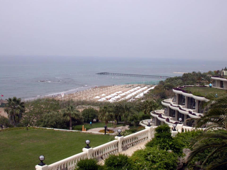 Barut Arum Arum Barut Collection