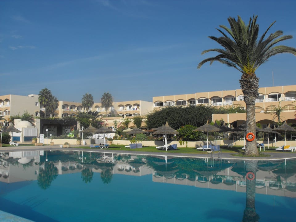 Basen z hotelem w tle AQI Venus Beach