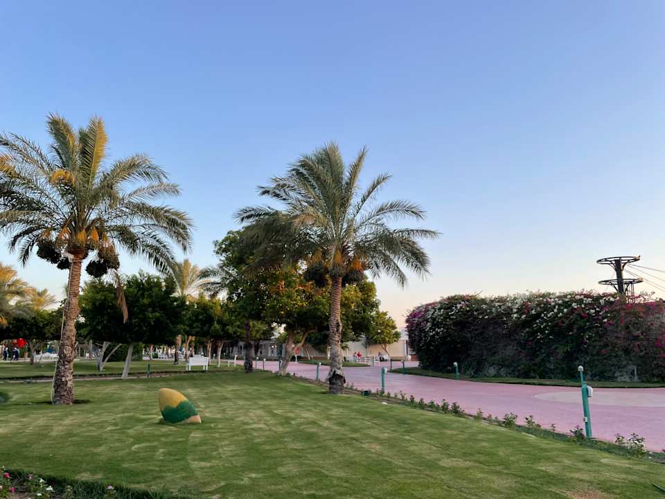 Gartenanlage Desert Rose