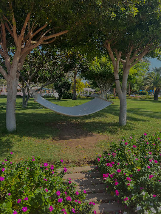 Gartenanlage Desert Rose