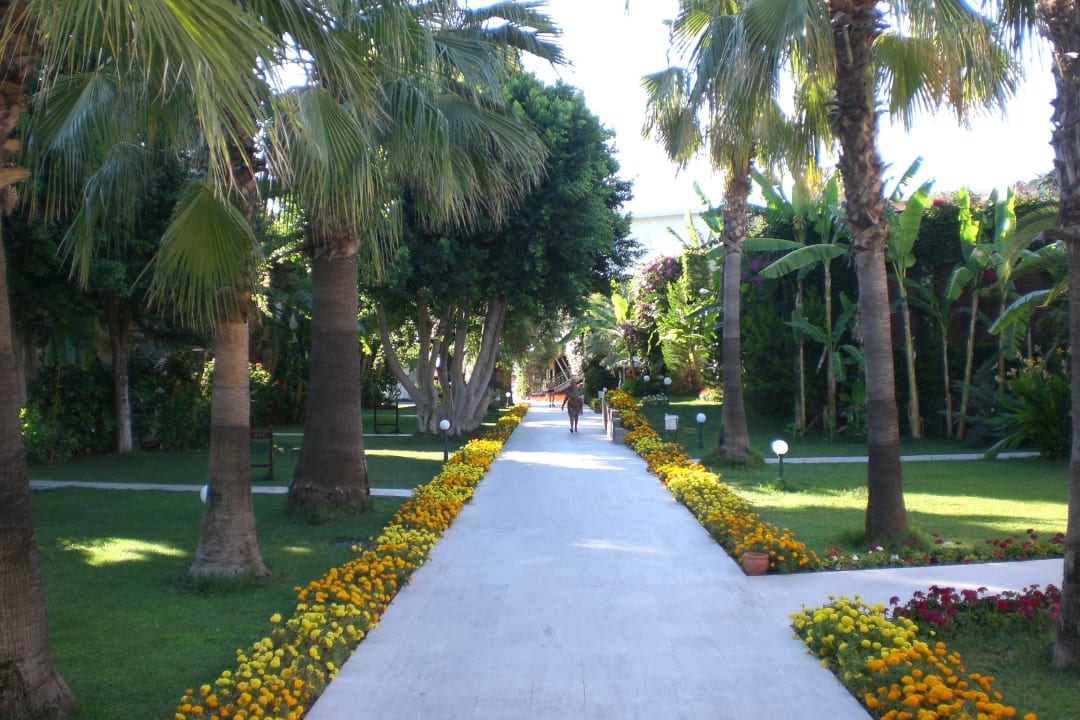 Weg zum Pool  Club Boran Mare Beach