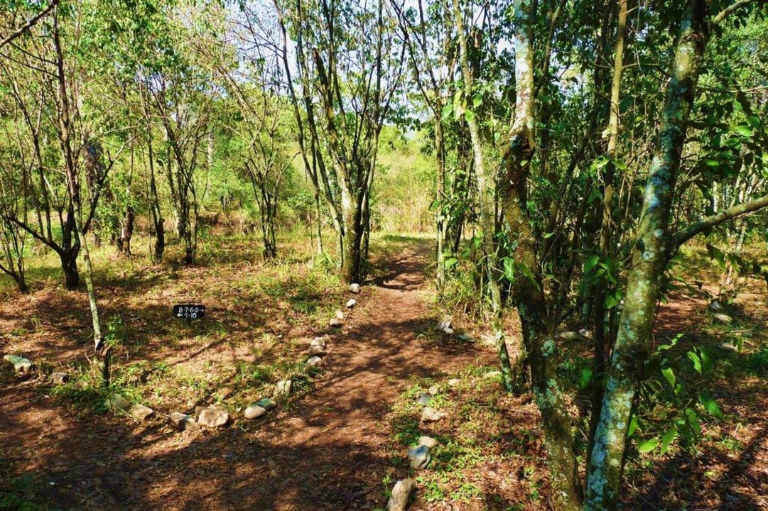 Mara Bush Camp Mara Bush Camp