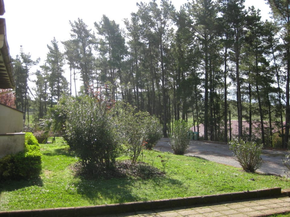 Garten und Golfplatz Il Pelagone Hotel & Golf Resort Toscana