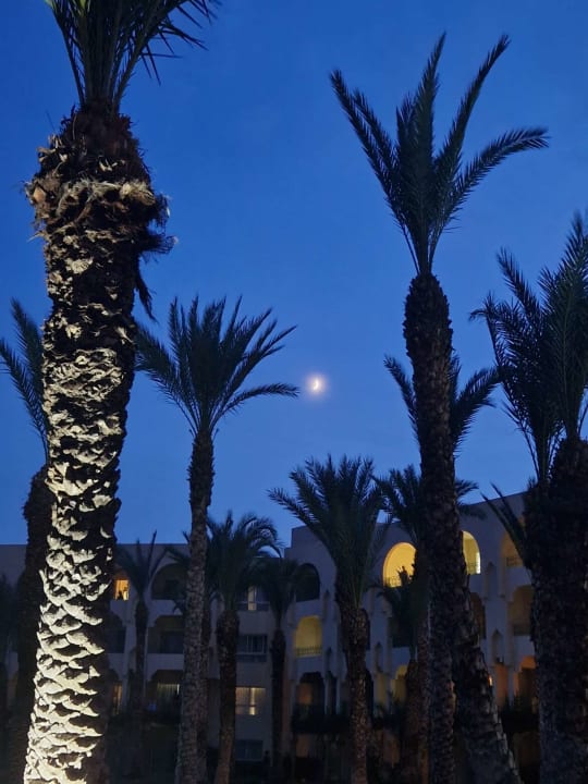 Außenansicht Iberostar Waves Averroes