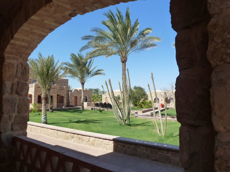 Gepflegt und gehegt: 2x wird gemäht (pro Woche) Mövenpick Resort El Quseir