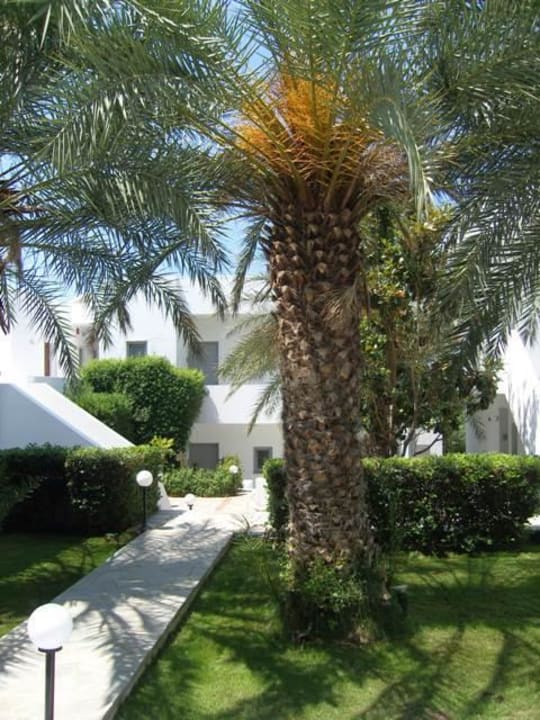 Blick von der Terrasse Maritimo Beach Hotel