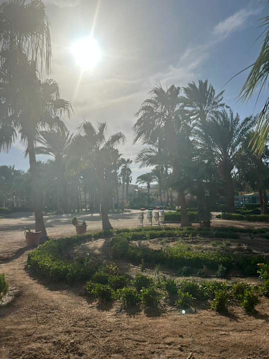 Ausblick Giftun Azur Resort