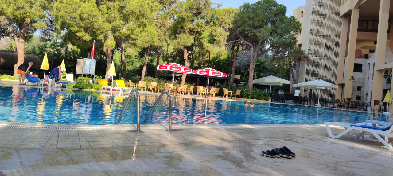Pool Asteria Collection Side