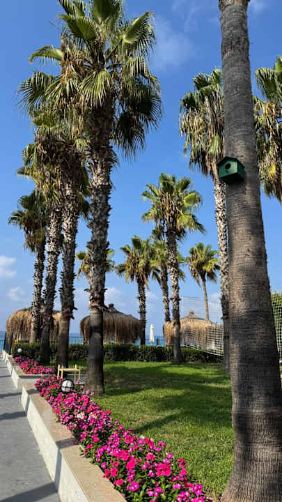 Gartenanlage Holiday Park Resort