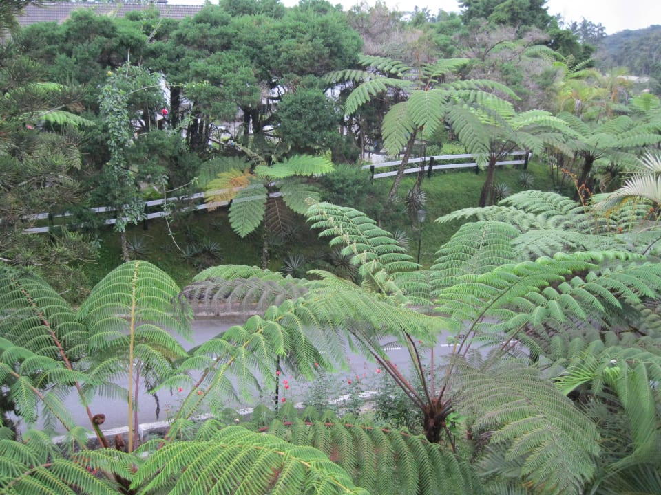 Üppiges grün Hotel Strawberry Park Resort