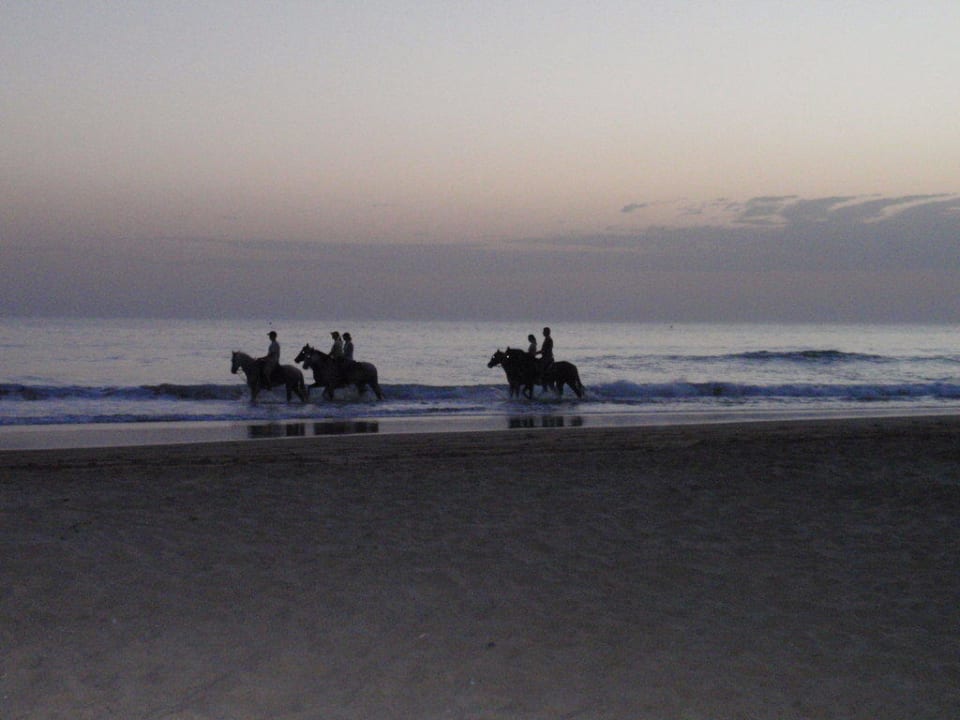 Reiter am Strand Ilunion Sancti Petri