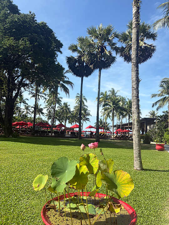 Gartenanlage Ramada Resort by Wyndham Khao Lak