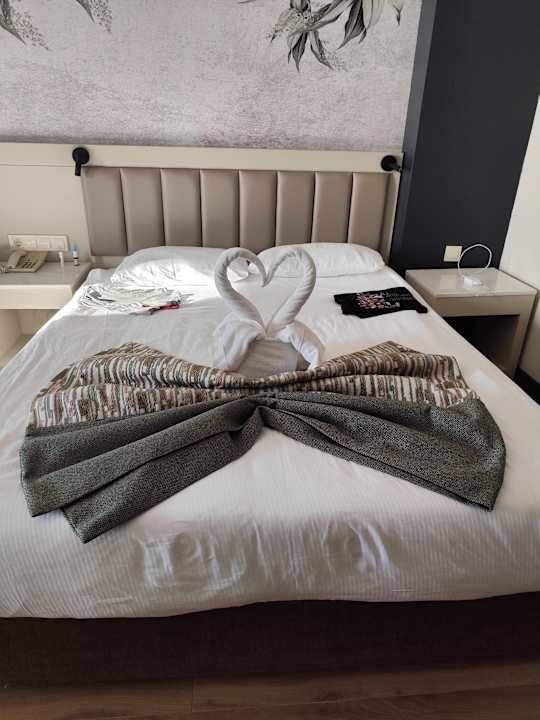 Zimmer Seaden Sea World Resort & Spa