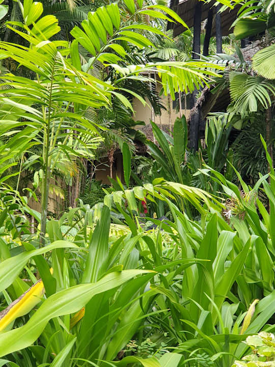 Gartenanlage Centara Koh Chang Tropicana Resort