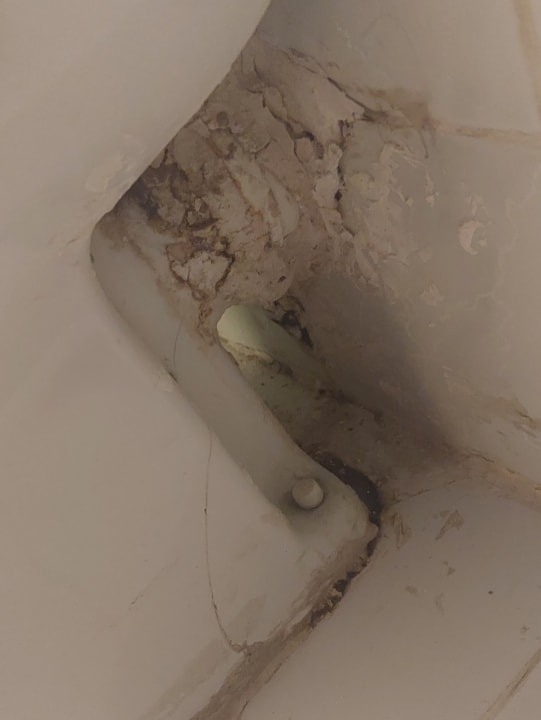 Zimmer Ghazala Gardens