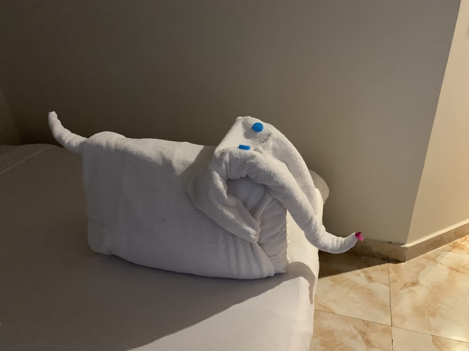 Zimmer Hotel Sea Gull/Seagull