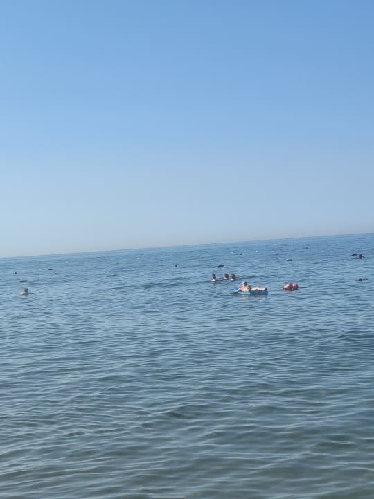 Strand Aydinbey Kings Palace & Spa