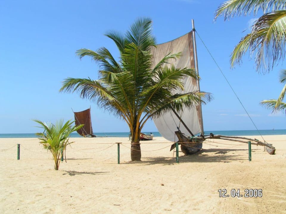 Strandansicht Goldi Sands Hotel