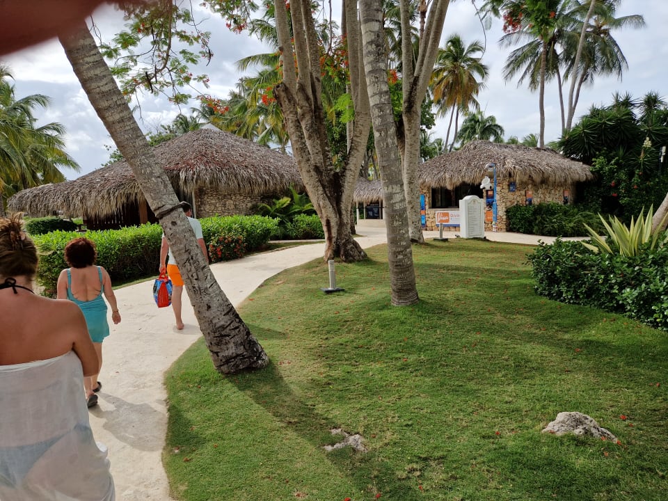 Gartenanlage Hotel Viva Dominicus Palace by Wyndham-All Inclusive Resort