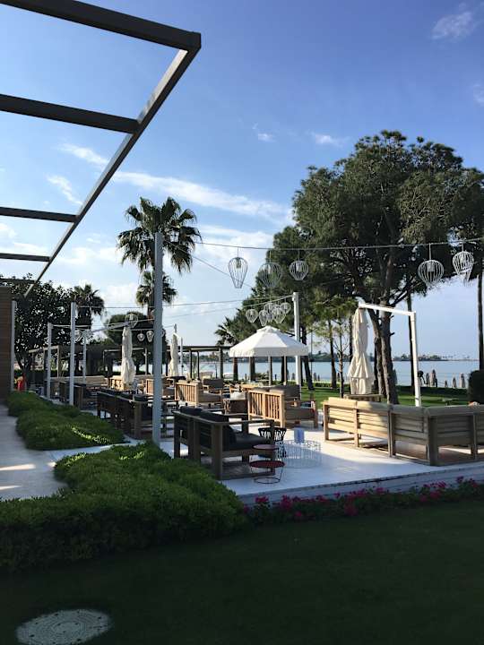 Gastro Acanthus Cennet Barut Collection