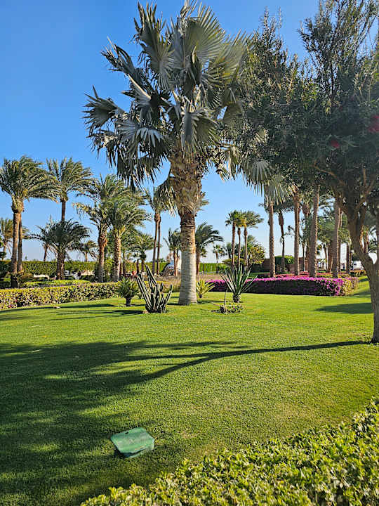 Gartenanlage Steigenberger ALDAU Beach Hotel