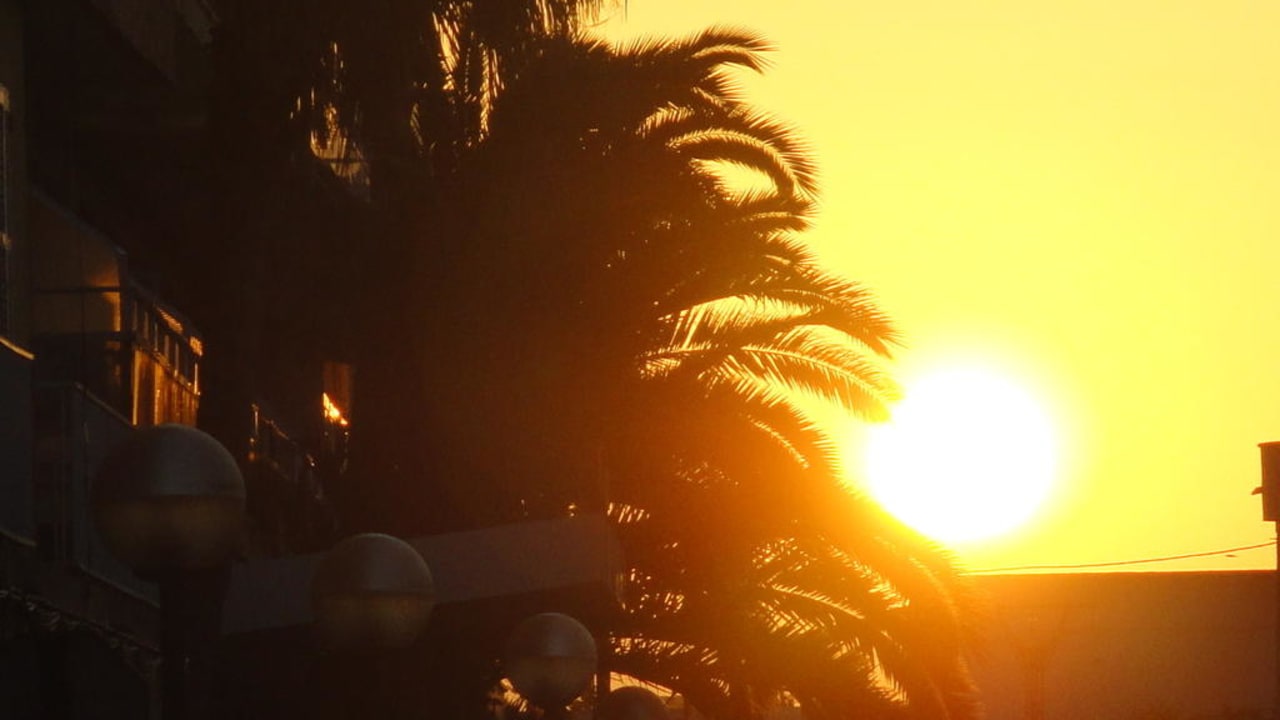 Schön Protur Palmeras Playa Aparthotel