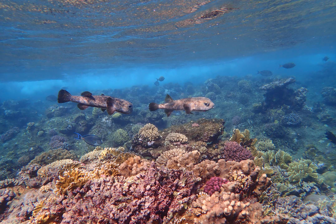 Strand Casa Mare Resort