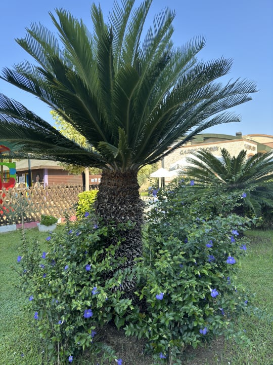 Gartenanlage Sunis Kumköy Beach Resort Hotel & Spa