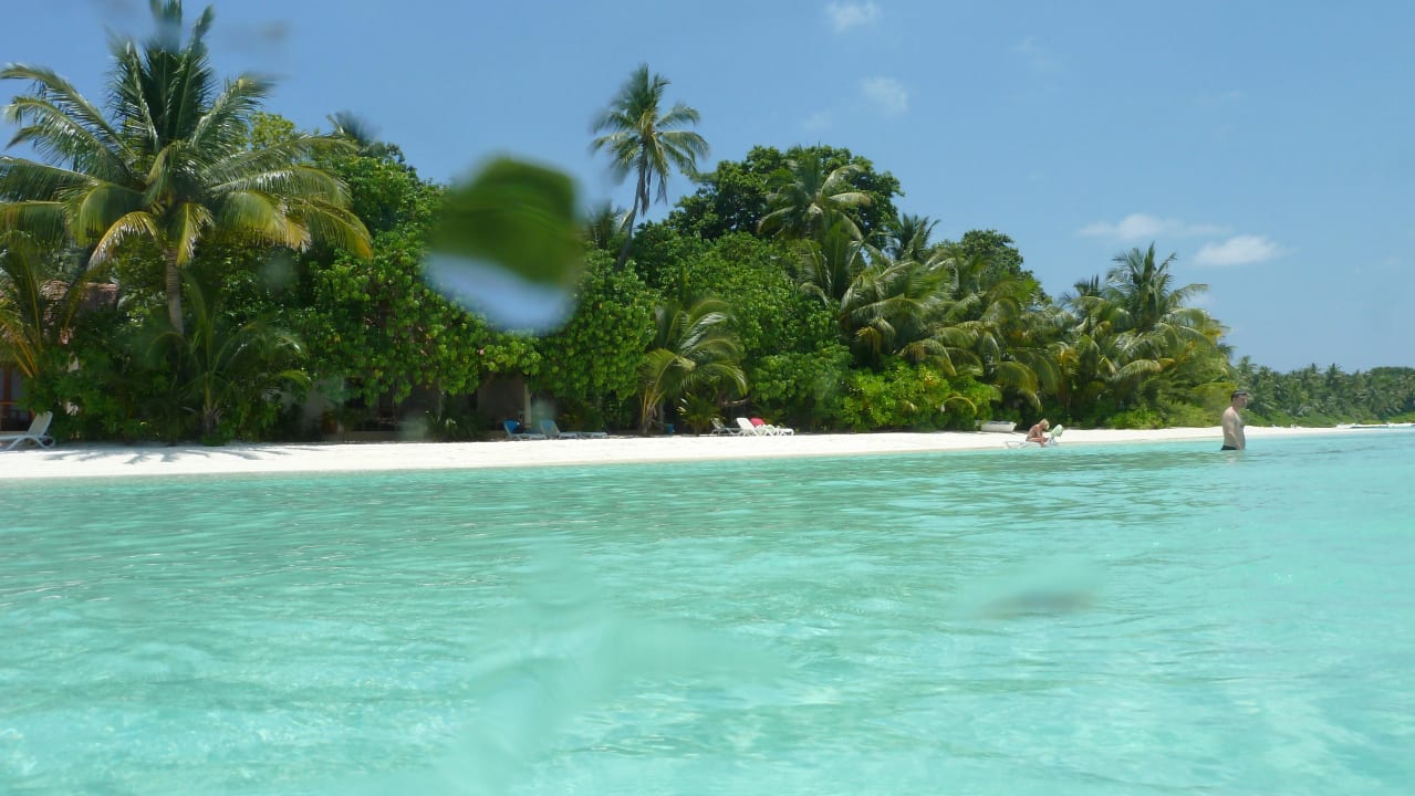 Lagunenstrand Kuramathi Maldives