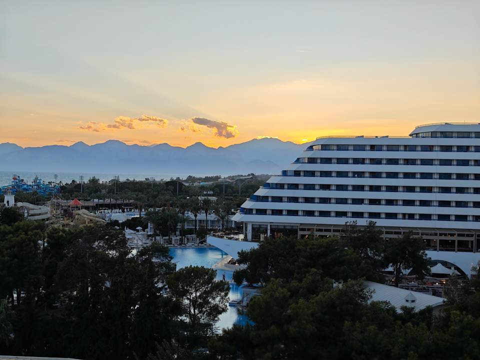 Ausblick Delphin BE Grand