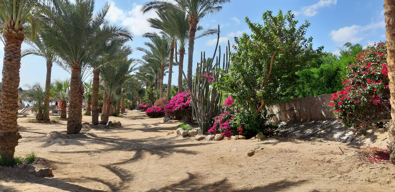 Strand Brayka Bay Resort