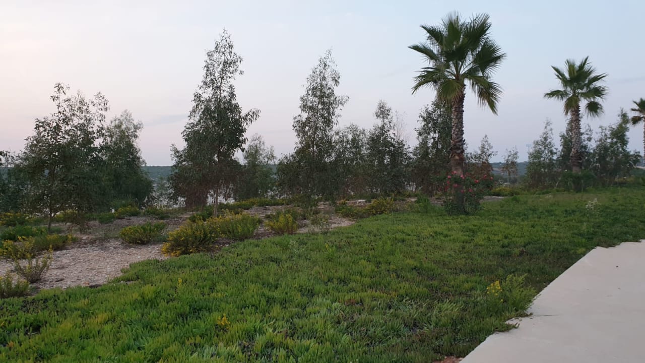 Gartenanlage Aquasis De Luxe Resort & Spa