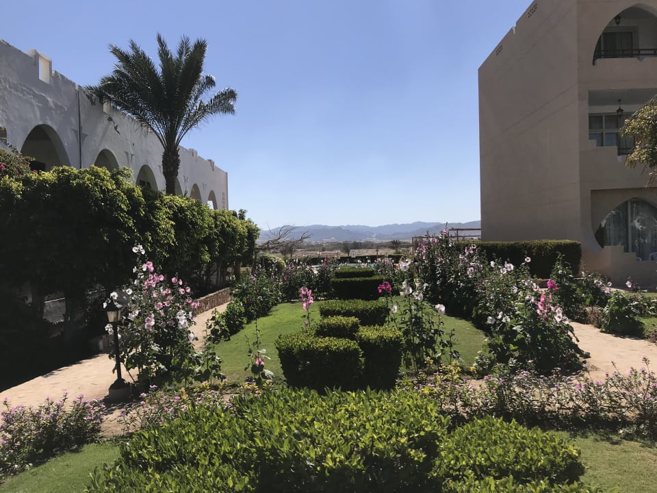 Gartenanlage Three Corners Equinox Beach Resort