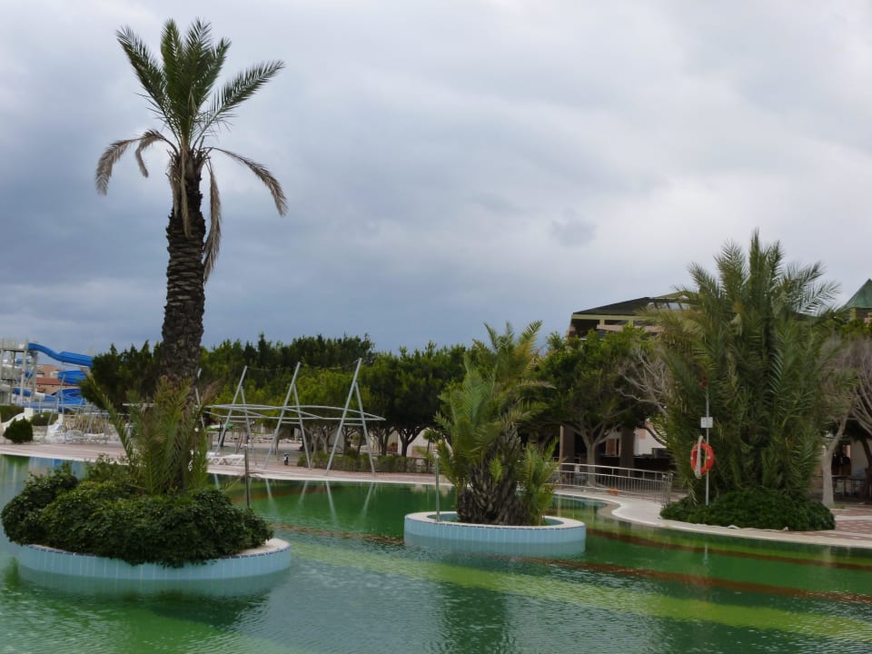 Planten in het buiten zwembad Limak Limra Hotel & Resort