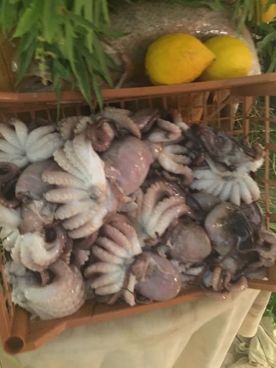 Gastro Jiva Beach Resort