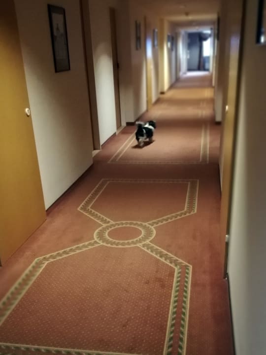 Zimmer Vienna House by Wyndham Amber Baltic Miedzyzdroje