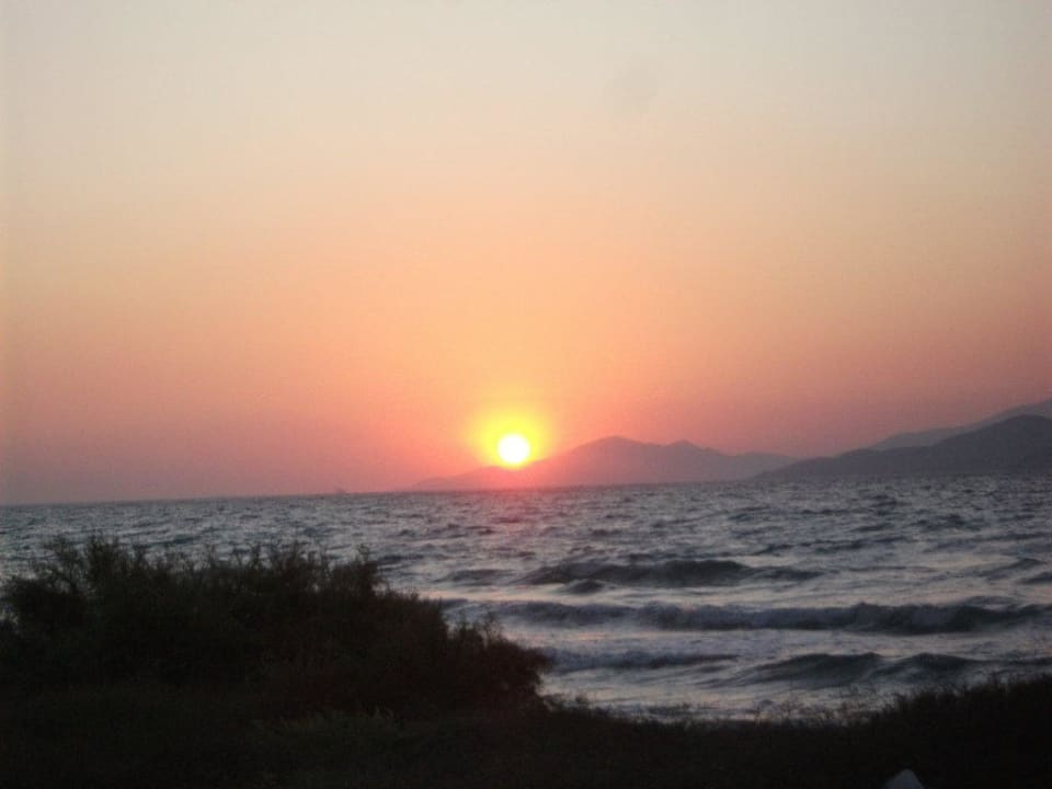 Sundown Cosmopolitan Kos