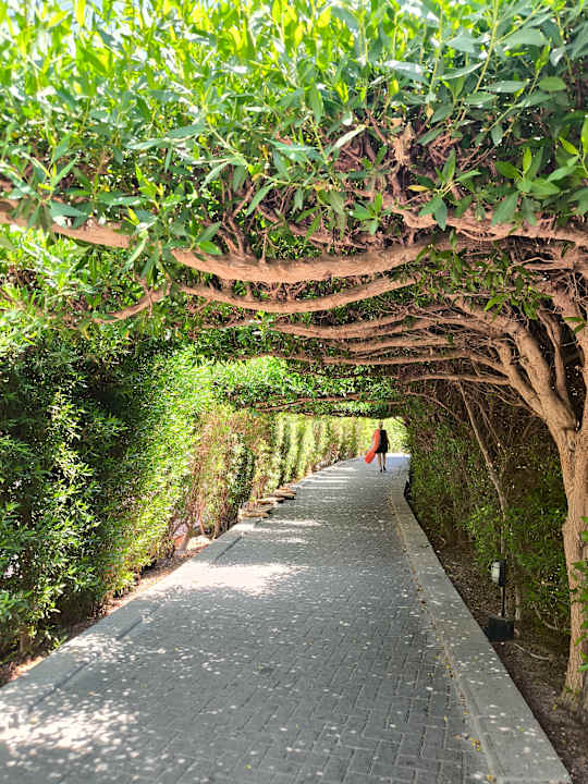 Gartenanlage Jaz Makadi Oasis Resort