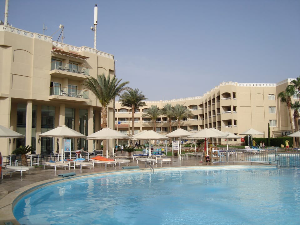 Pool Beach Albatros Resort