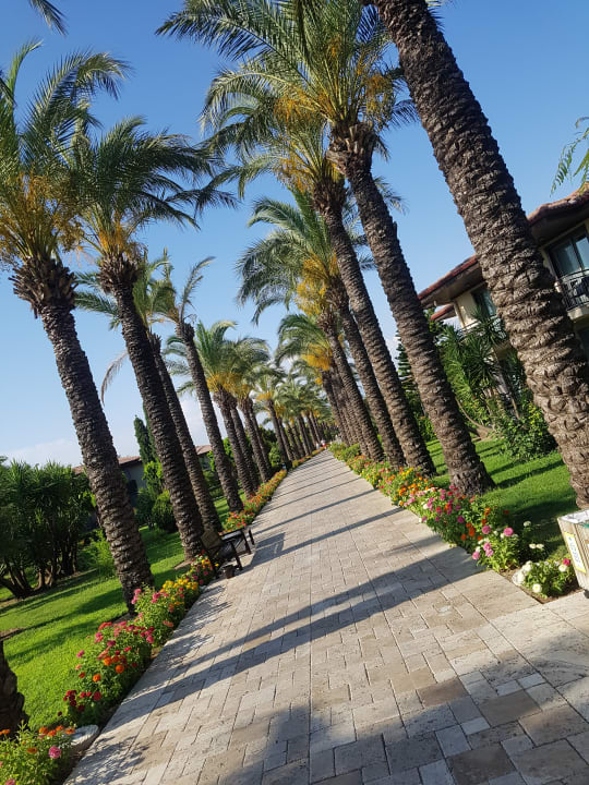 Gartenanlage TUI BLUE Palm Garden