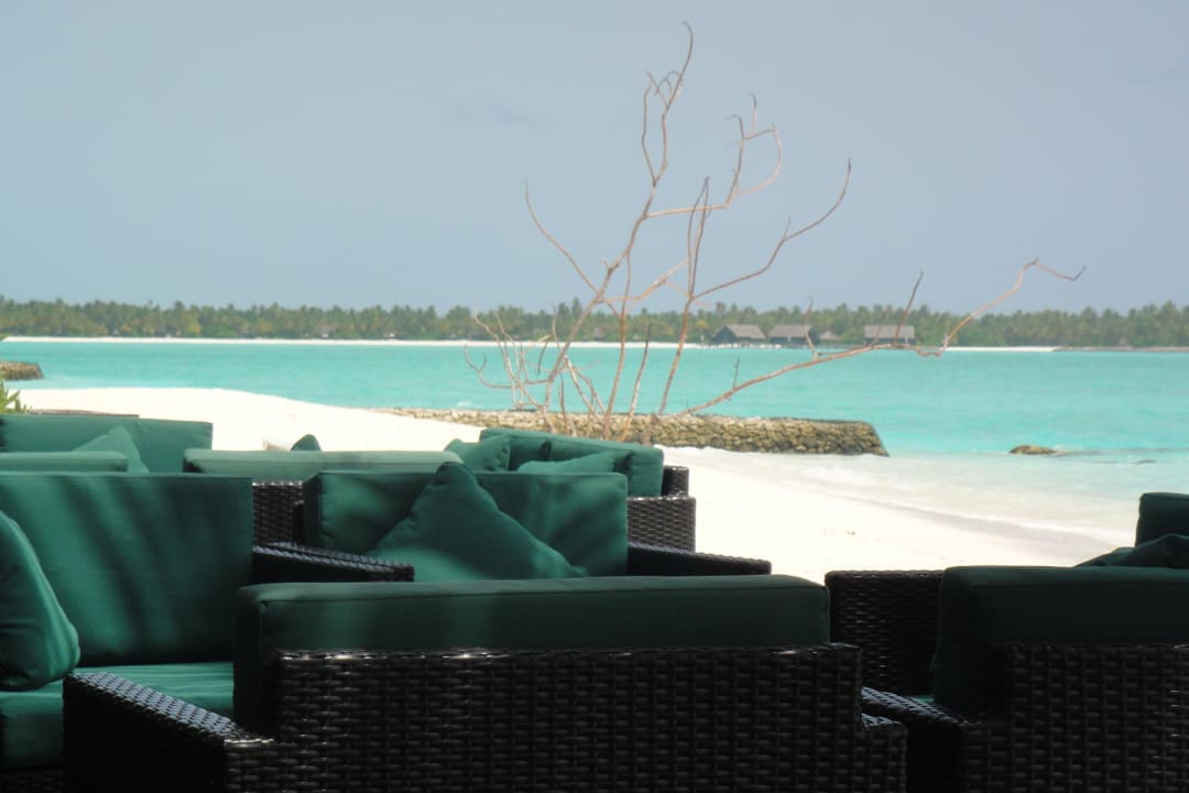 Bar Summer Island Maldives