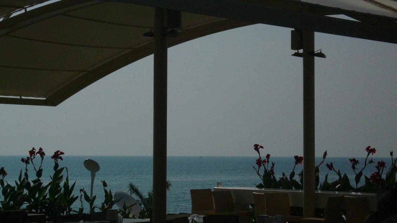 Poolbar Gold Island Selected