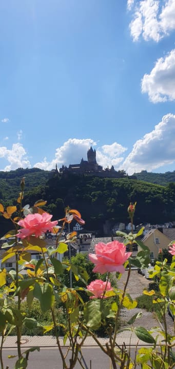 Ausblick Flair Hotel am Rosenhügel