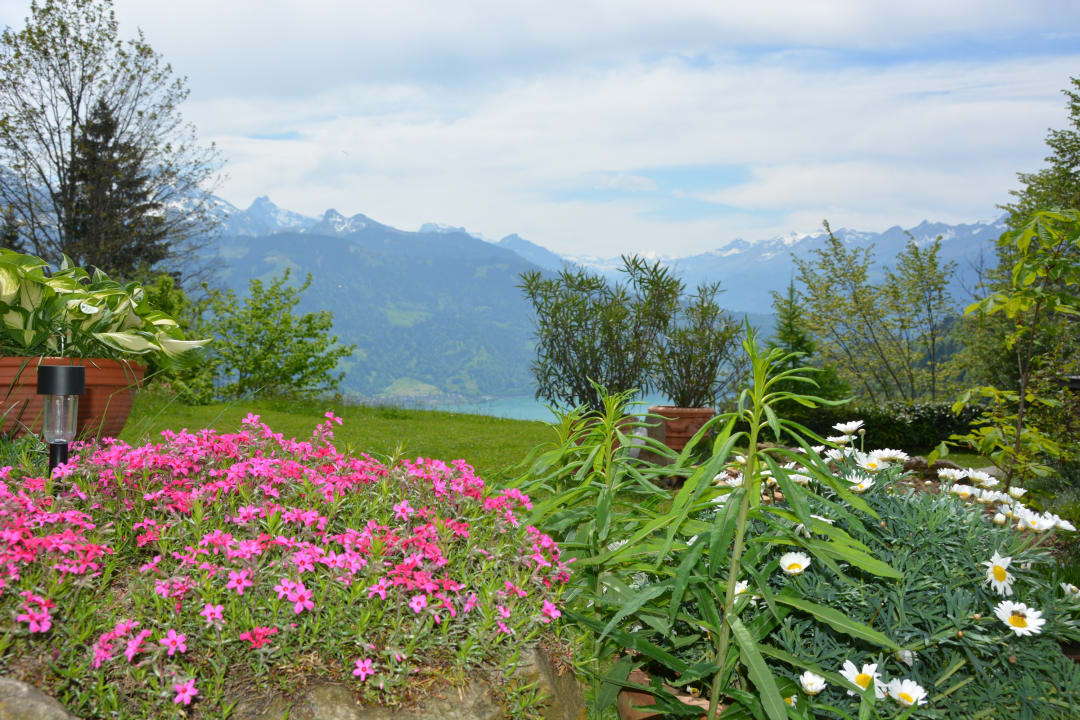 Gartenanlage Ula's Holiday Apartments
