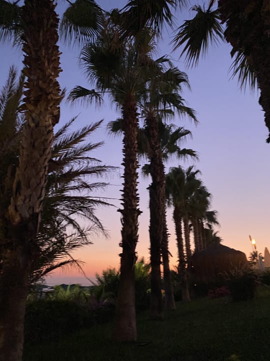 Gartenanlage Paloma Oceana