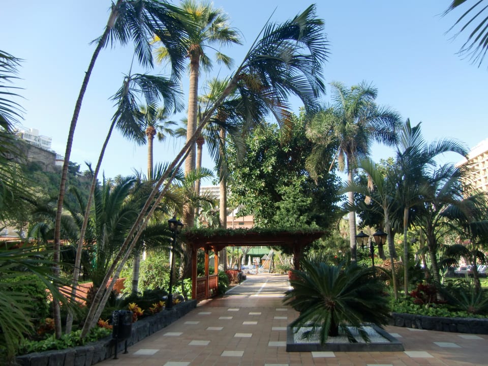 Garten zum Pool Bahia Principe Sunlight San Felipe